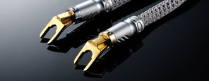 Bull Shark Speaker Cable